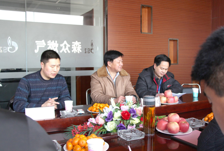 林口县政府与星空体育-星空体育·(中国)官方网站燃气项目洽谈.png